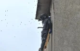华容县东山镇消防救援站：高空除蜂解民忧 专业处置保平安